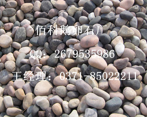 購(gòu)買鋪路鵝卵石在哪里能買到？
