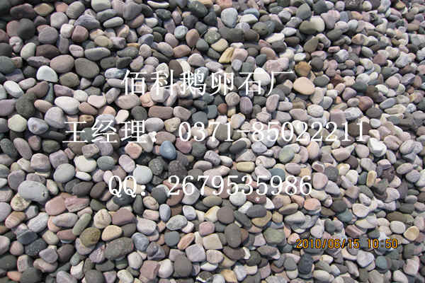 佰科天然鵝卵石，質(zhì)量價格可靠