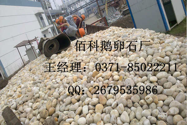 天然鵝卵石（純白色、純黑色）廠家