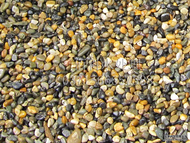 哪里有賣(mài)天然鵝卵石的？