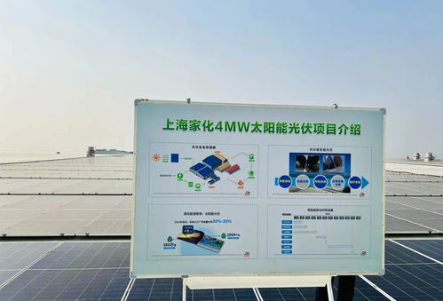 點(diǎn)亮綠色未來 上海家化跨越工廠正式啟用太陽能光伏發(fā)電