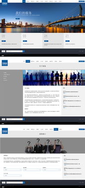 奮迅律所 貝克曼堅時 高端網站建設 上海雍熙官網