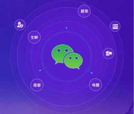 上海網頁制作從六個方向分析2018年小程序的發展趨勢