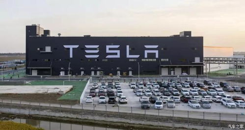 又一個“特斯拉殺手”？今年最大IPO誕生，網頁設計行業迎來新變革